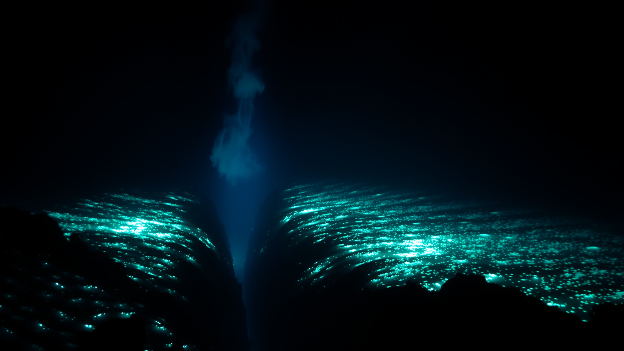 The Unique Environment of Ocean Trenches